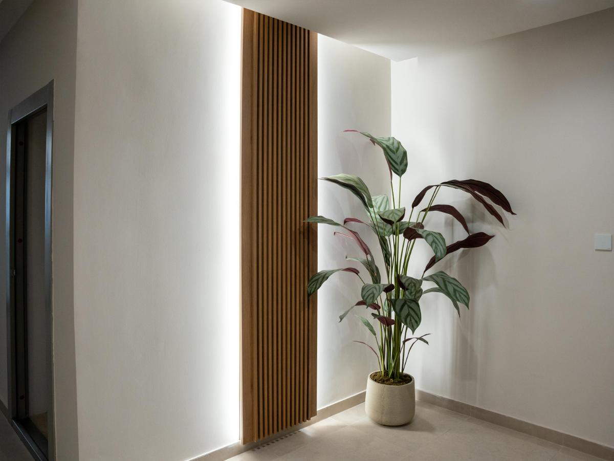 Remodelación Integral de Viviendas y Apartamentos 3